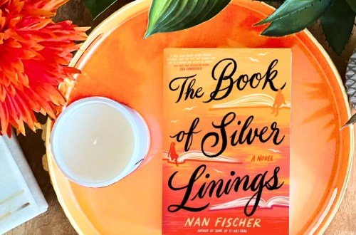 The Book of Silver Linings by Nan Fischer is a contemporary fiction and romance novel that will charm your heart