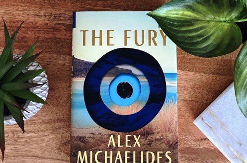 The Fury by Alex Michaelides is an expertly plotted mystery thriller