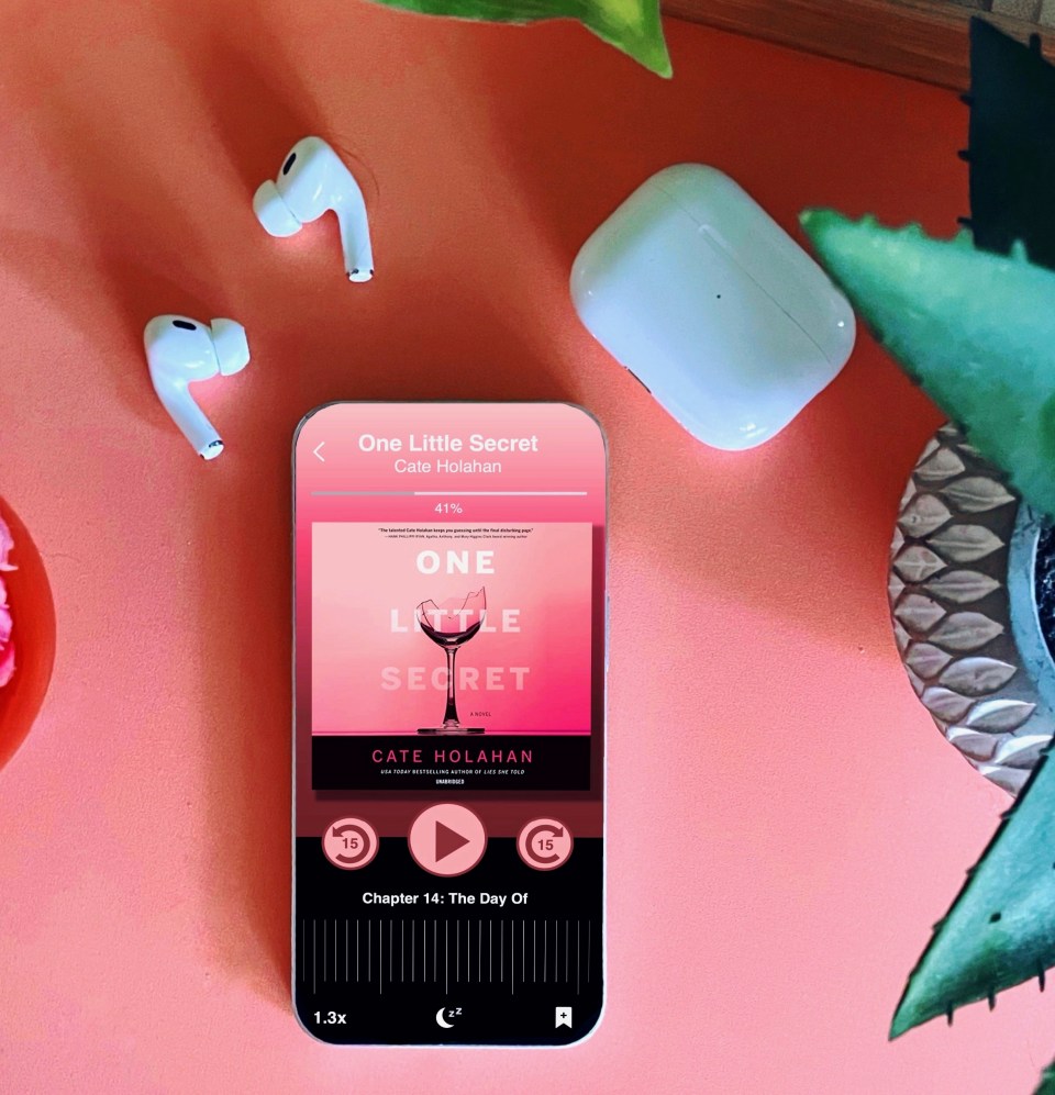 Book Review: One Little Secret | Cate Holahan