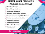 Digital Signal Processing Ideas Using Matlab