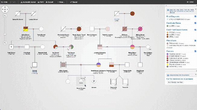 A user links multiple patients with distinct patient records to a single pedigree chart