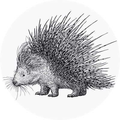 Explore Acupuncture articles