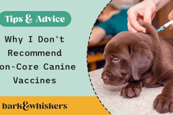 Pourquoi je ne recommande pas les vaccins canins non essentiels