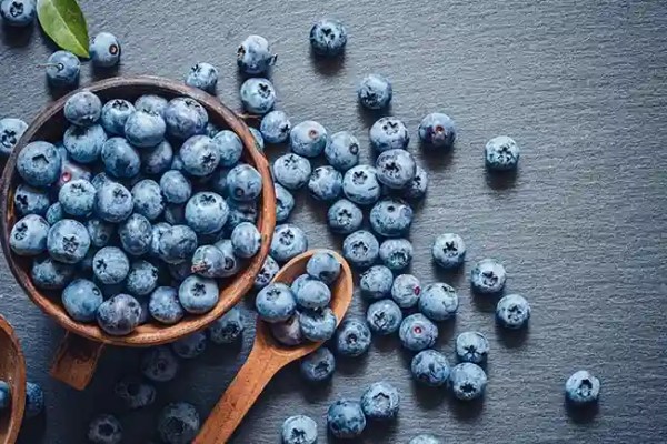 Des fruits petits mais riches en nutriments que votre animal adorera
