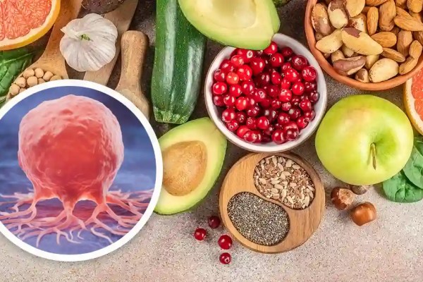 Les fibres alimentaires : une arme discrète contre le cancer