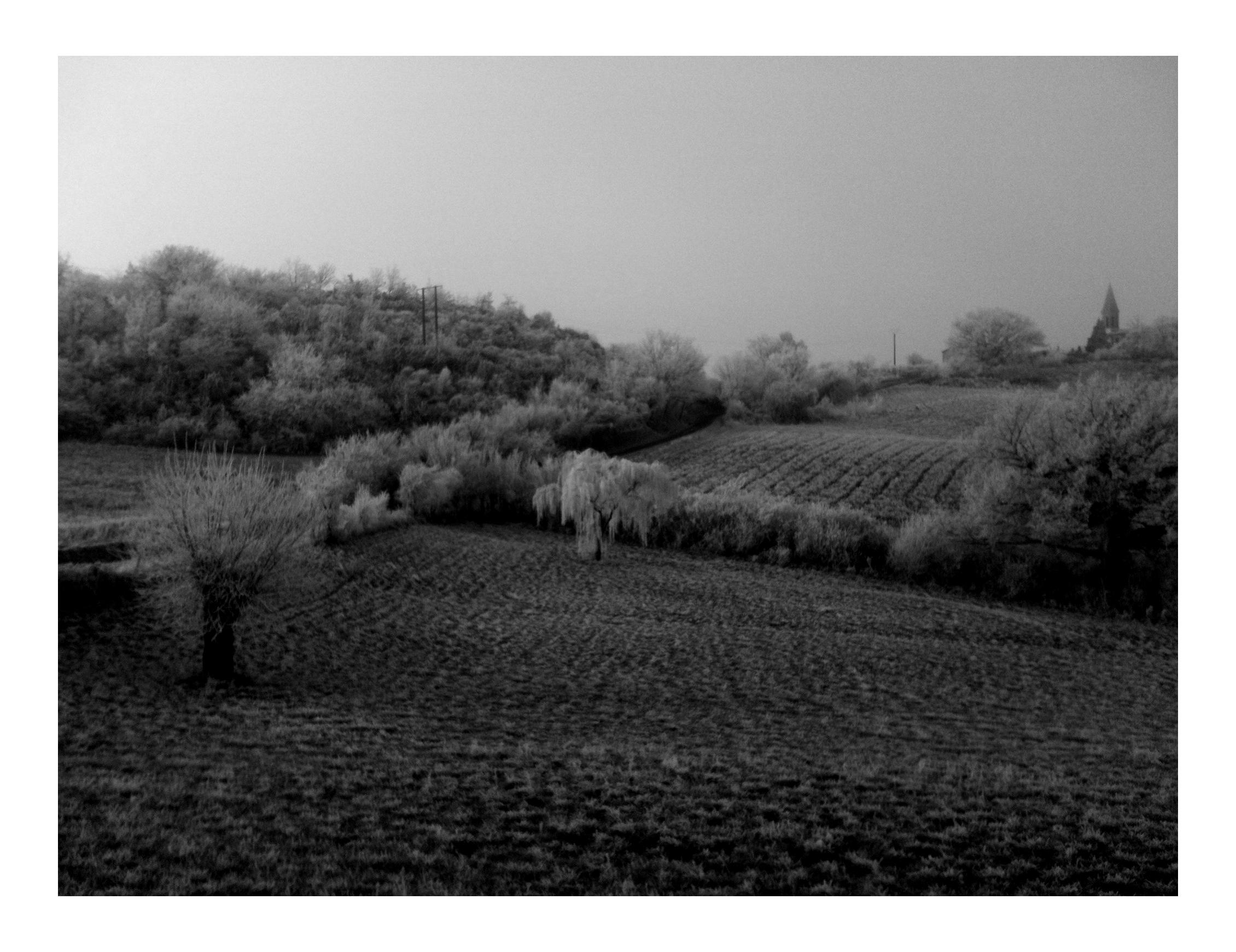 Jour de l'An // New Year's Day #2015 Photo N&B // B&W Picture