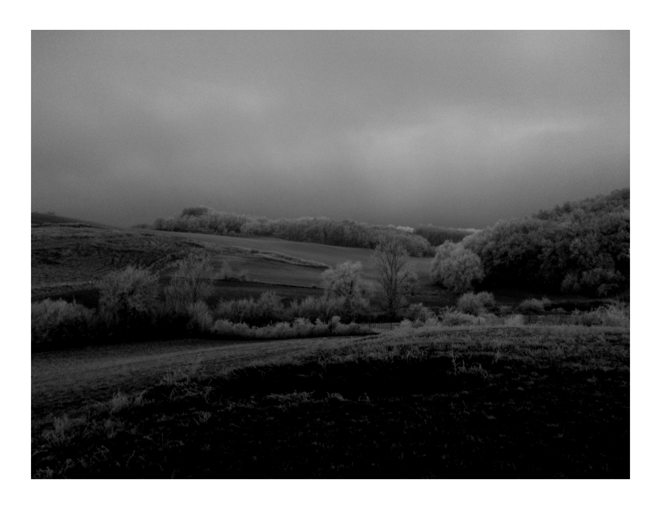 Jour de l'An // New Year's Day #2015 Photo N&B // B&W Picture