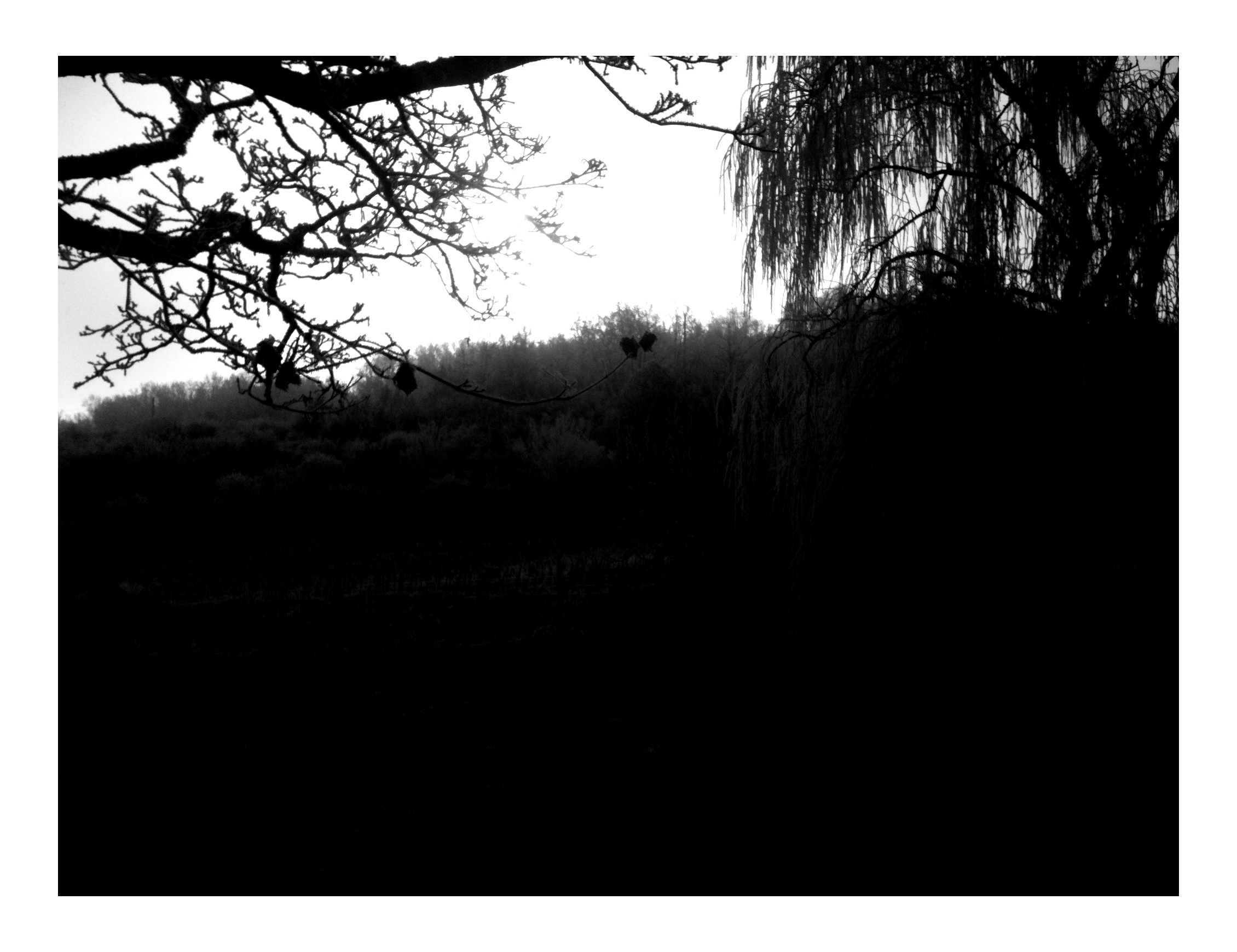 Jour de l'An // New Year's Day #2015 Photo N&B // B&W Picture