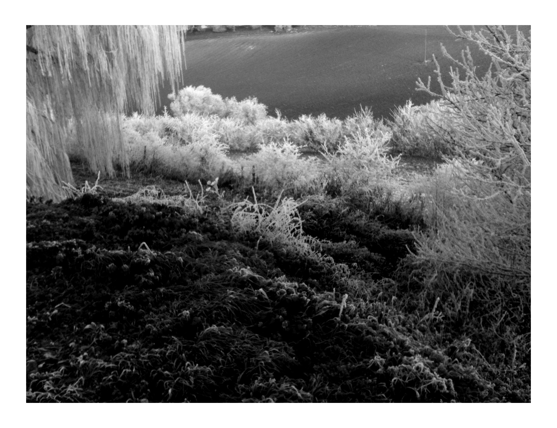 Jour de l'An // New Year's Day #2015 Photo N&B // B&W Picture