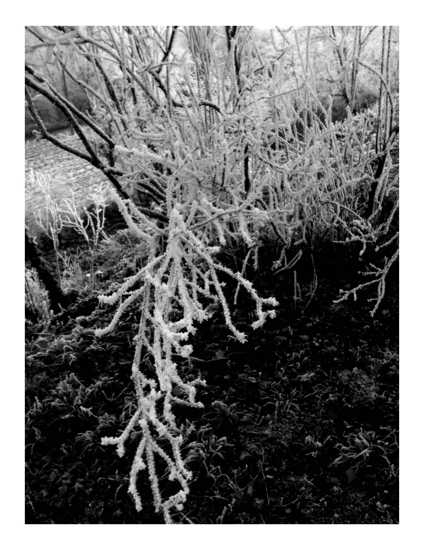 Jour de l'An // New Year's Day #2015 Photo N&B // B&W Picture