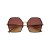 WN16 Gold Frame - Brown Gradient Lens