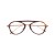 X43 Tort/Gold Frame - Clear Lens