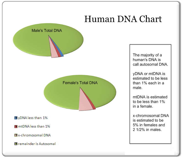 Your total dna makeup