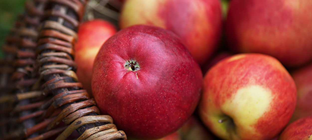 How To Choose An Apple Tree You’ll Love To Grow Philomath News