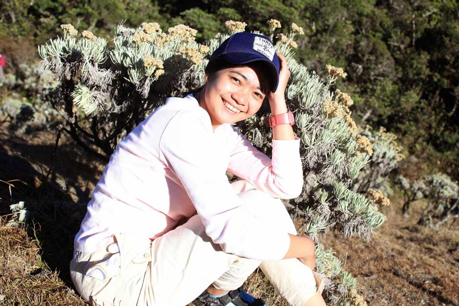 Hal itu karena pendaki tersebut memetik bunga edelweis yang sebenarnya. Jangan Lagi Memetik Edelweis