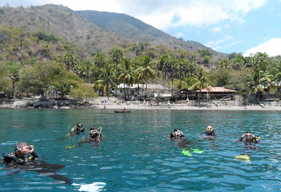 Alam pemandangan suasana pagi sore padi yang menguning. Tips Menjelajah Pulau Alor, NTT Dalam 3 Hari 2 Malam