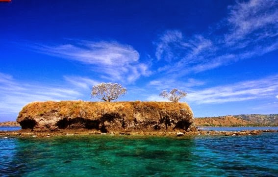 Kisah Pulau Di Bima Yang Dihuni Ratusan Ular Berbisa 
