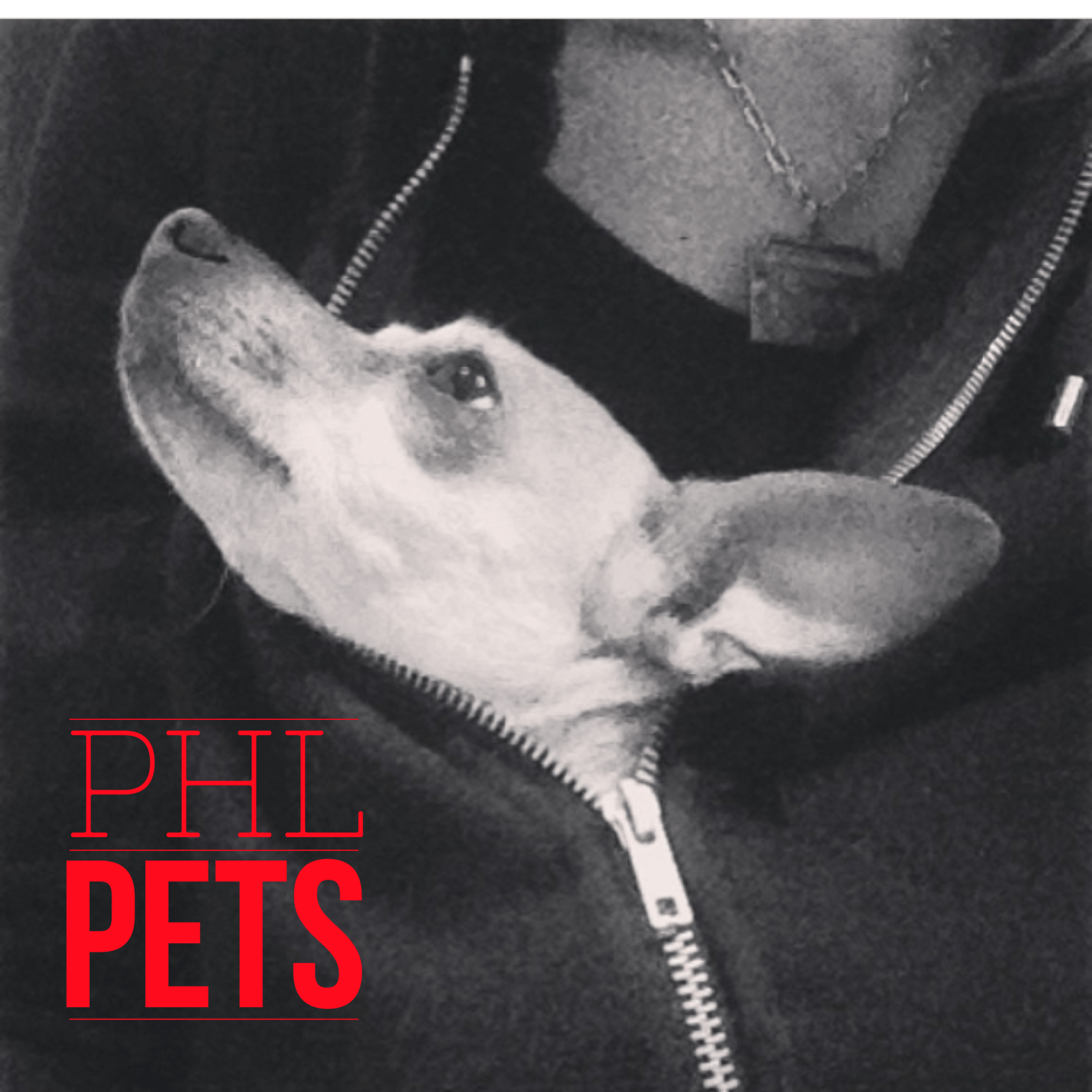 cropped-suki-phl-pets-v21.png