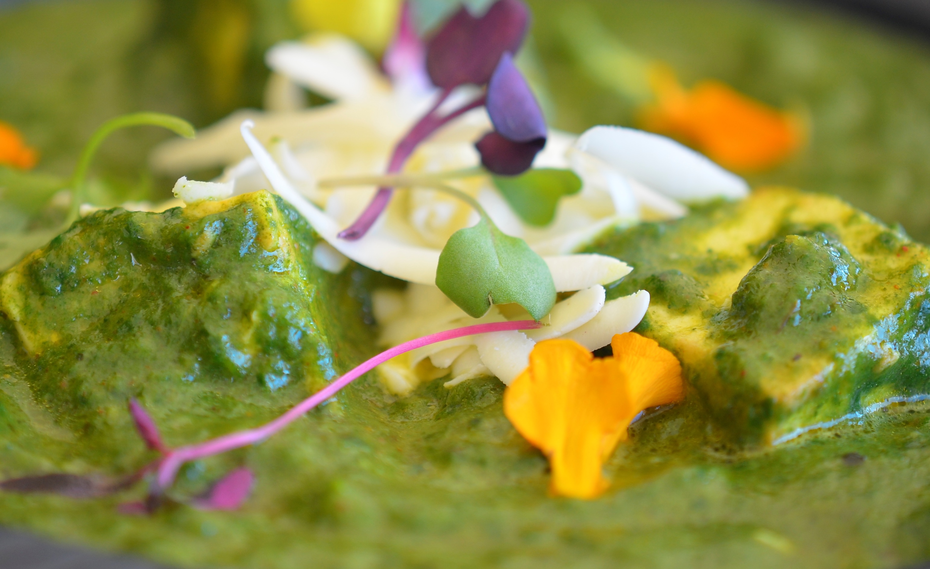 Marigold Maison Palka Paneer
