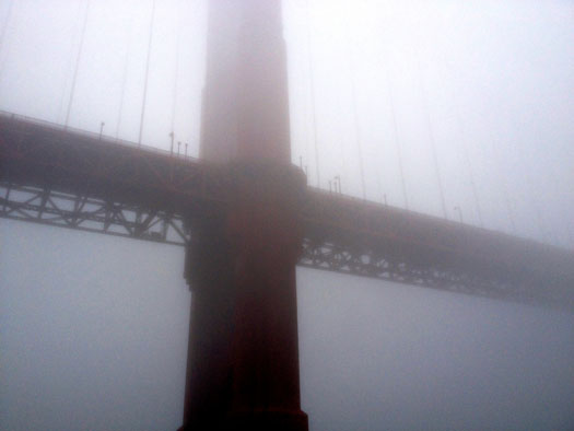 Though it was a foggy day, we were still able to get a peek at the Golden Gate Bridge while sailing underneath!