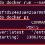 How To Set Up & Configure A MySQL Docker Container {Tutorial}