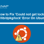 How To Fix Could Not Get Lock /var/lib/dpkg/lock Error On Ubuntu