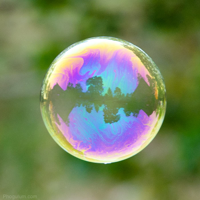 Bubble · Phogulum