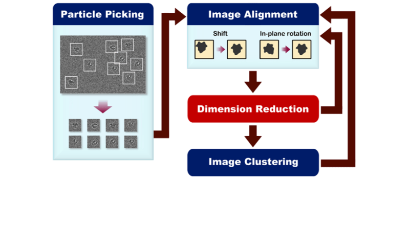 Cryo Em Processing Workflow For 5v3 Image Processing Workflow In Download Scientific Diagram - Landscape Wallpaper Collection - HD Quality