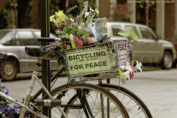 Bicyclette de la paix - Greenwich Village - New York City