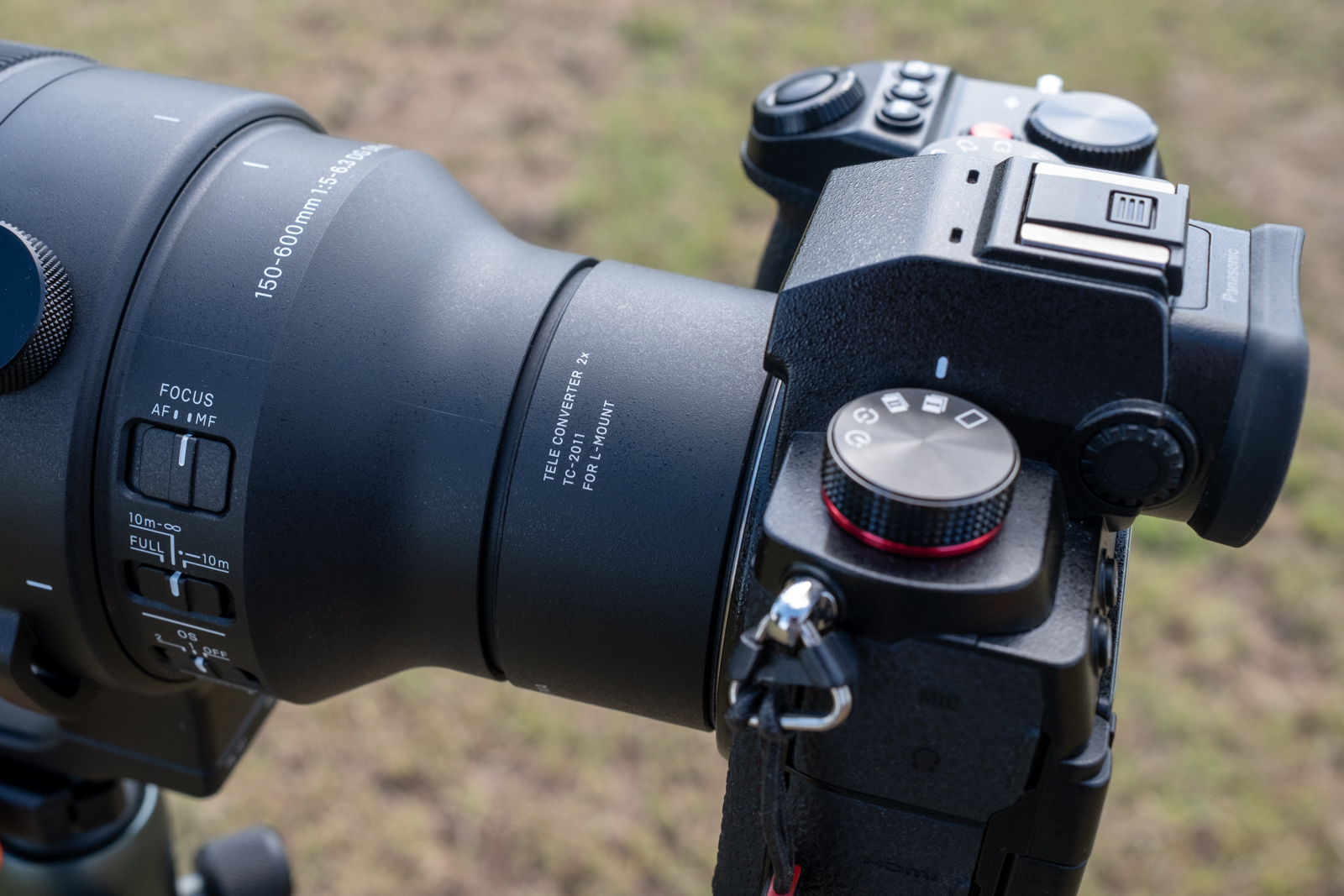 Big lens, big results: Sigma 150-600mm F/5-6.3 DG DN OS Sport review
