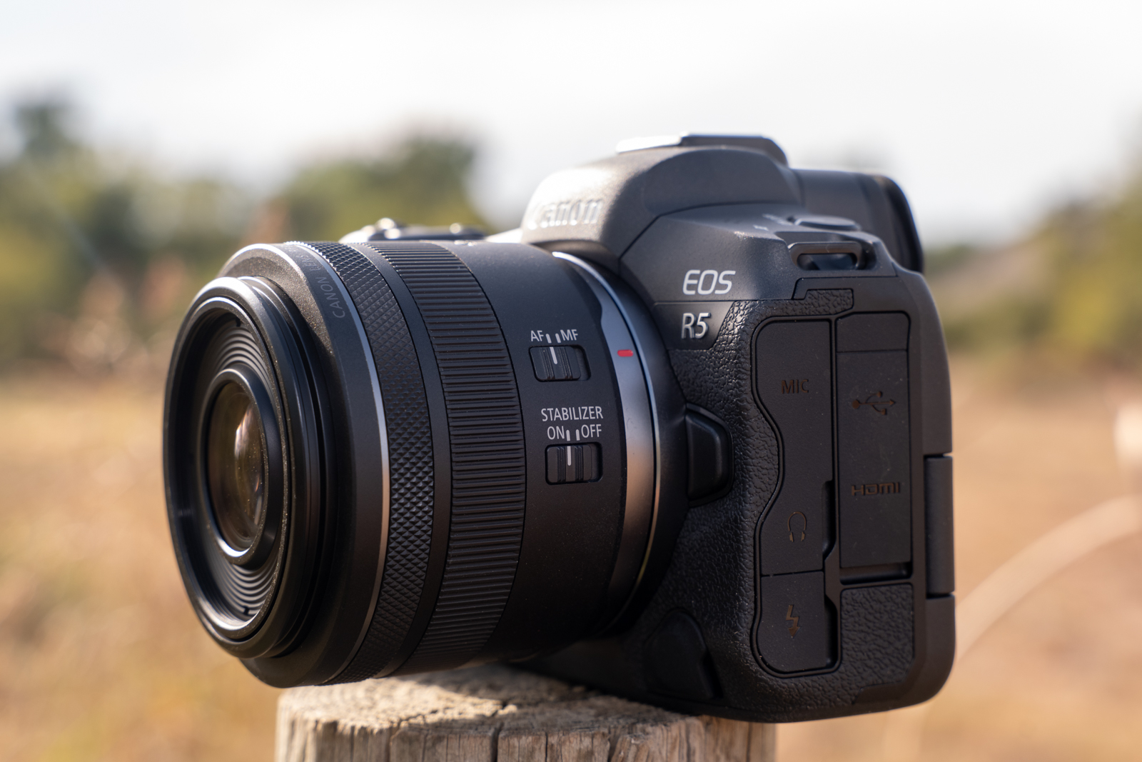 Canon RF 35mm f/1.8 IS Macro STM Review: A good entry-level lens