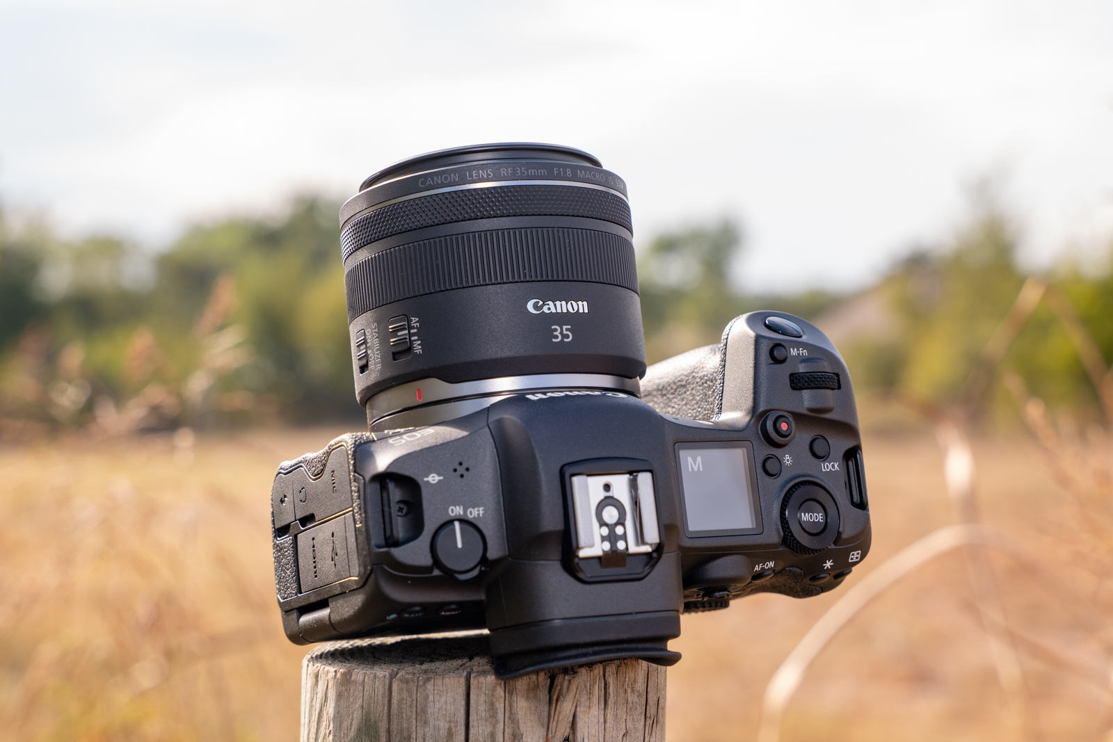 Canon RF 35mm f/1.8 IS Macro STM Review: A good entry-level lens