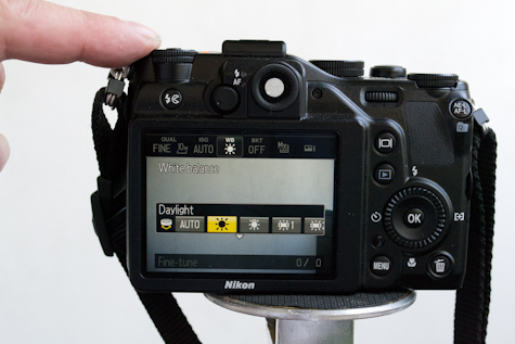 Photoinduced.com