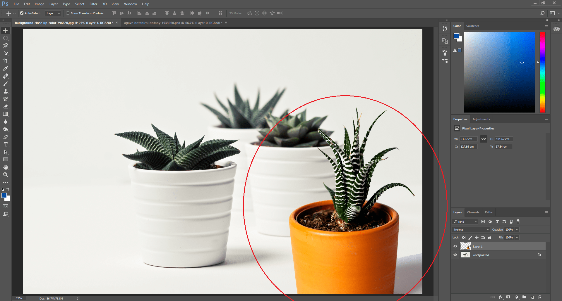 Dapatkan Gambar Lightroom Gets Skin Smoothing Texture Tool And Built In Terupdate by Lampunghits.com