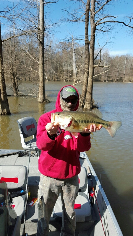 Millwood lake ar fishing reports, map & hot spots