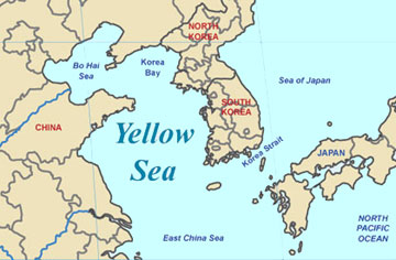 Yellow Sea Needs Protection Says WWF 