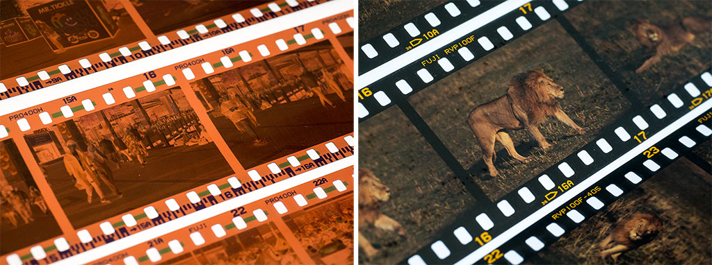 Cross Processing - Photo Thinking - Film Technique