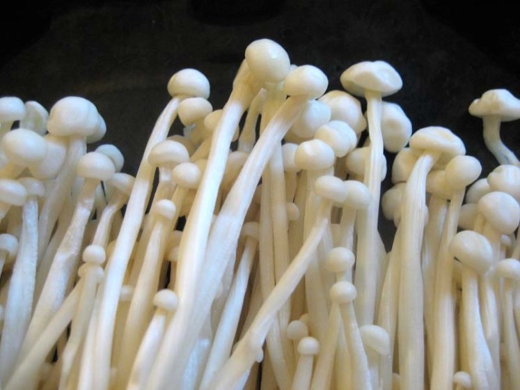 enokitake mushrooms enokitake mushrooms