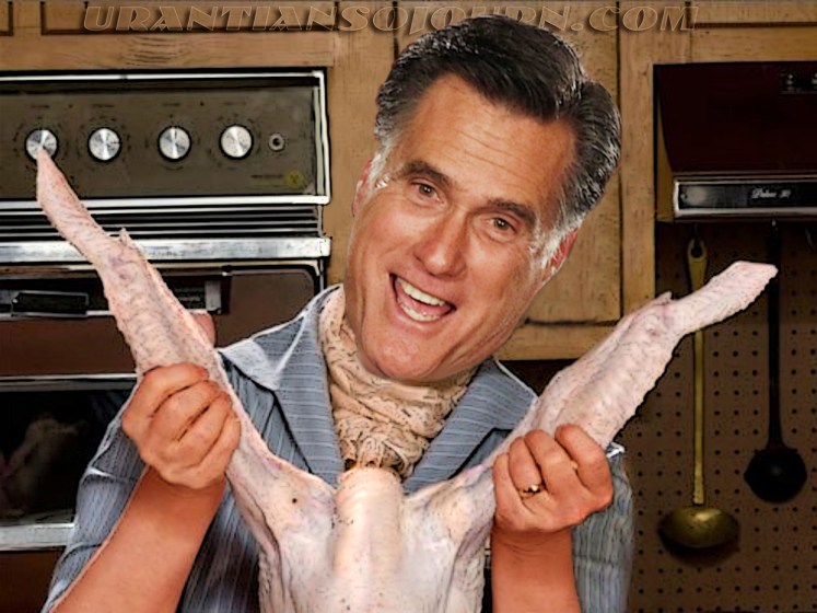 Oven Mitt Oven Mitt