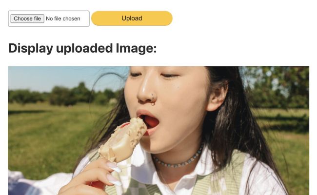Upload And Display Image In PHP - Phppot