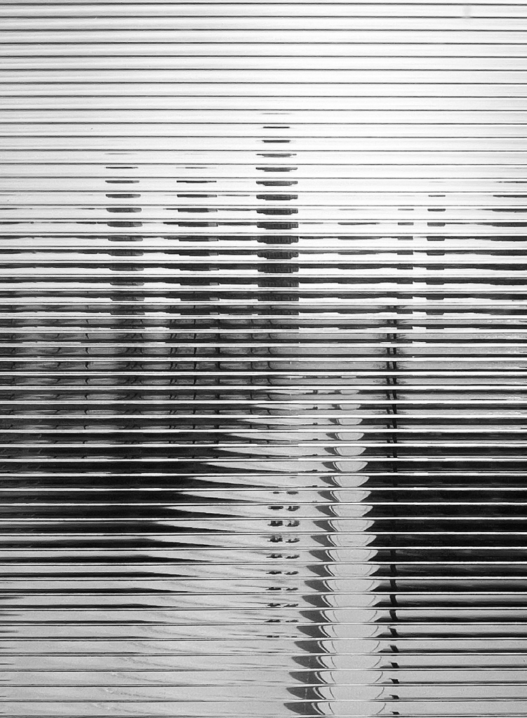 Imagen en blanco y negro que muestra la superficie de una persiana reflejando sombras difusas de un paisaje al fondo.