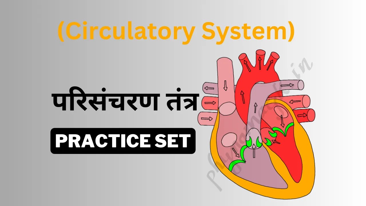 Circulatory System