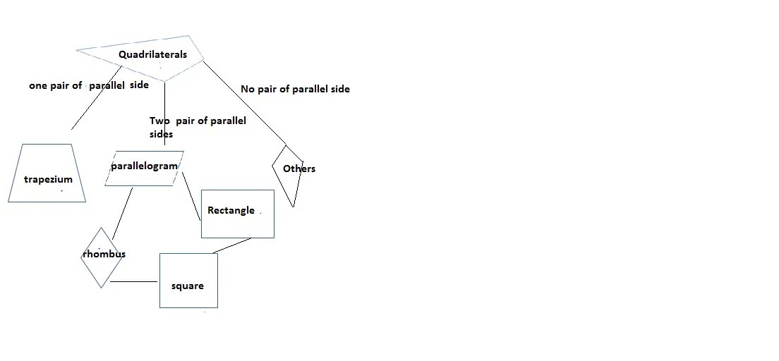 Tenth Grade Lesson Developing The Family Tree Of Quadrilaterals