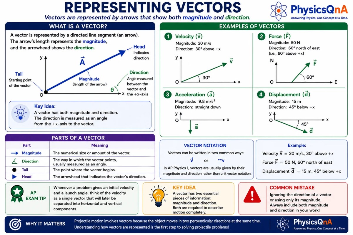 Illustration showing how vectors are represented by arrows with magnitude and direction.
