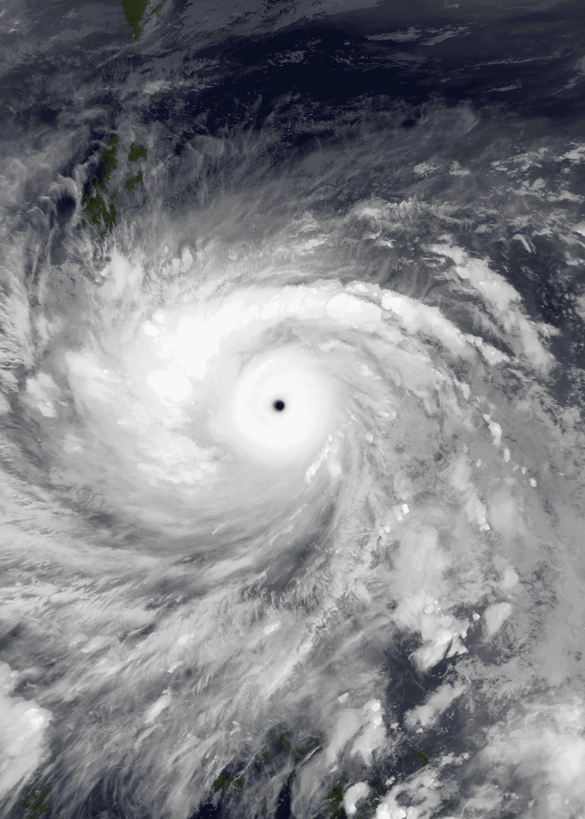 In fact, we are matter. Did post-Haiyan disaster relief boost fishing pressure