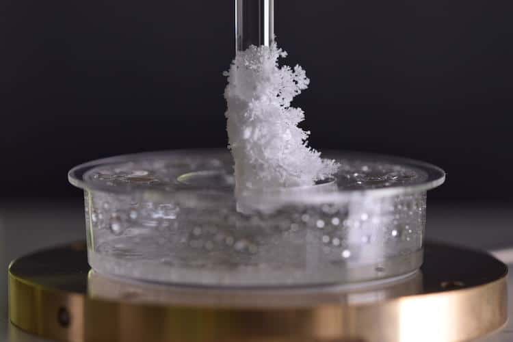 Jadi, tidak ada perbedaan natrium klorida dan sodium . Self-amplifying crystallization produces a Christmas tree