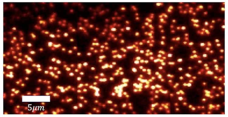 Unveiling Quantum Dots: Measuring Energy Dissipation and Entropy (2026)