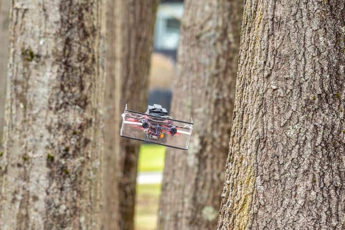Bat-Inspired Drone: Navigating Fog, Dodging Obstacles, and Revolutionizing Search & Rescue (2026)