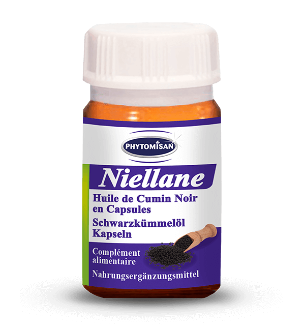Niellane.webp