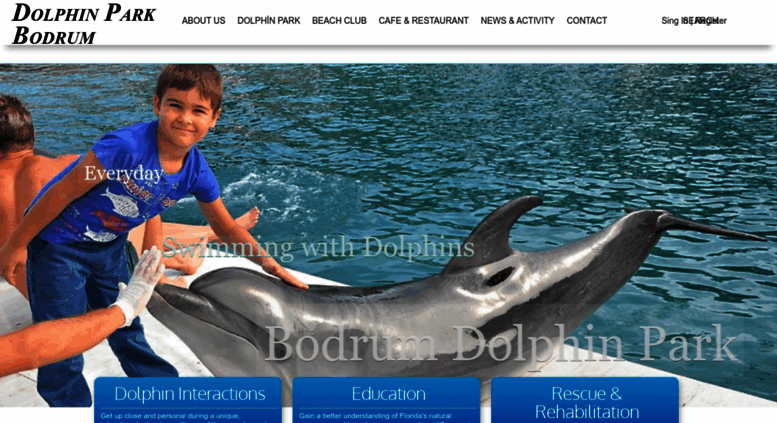 Hotels Near Bodrum Dolphin Park Bodrum Find Cheap 41 Hotel Deals Travelocity